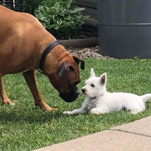 Meet your Posher, Janelle